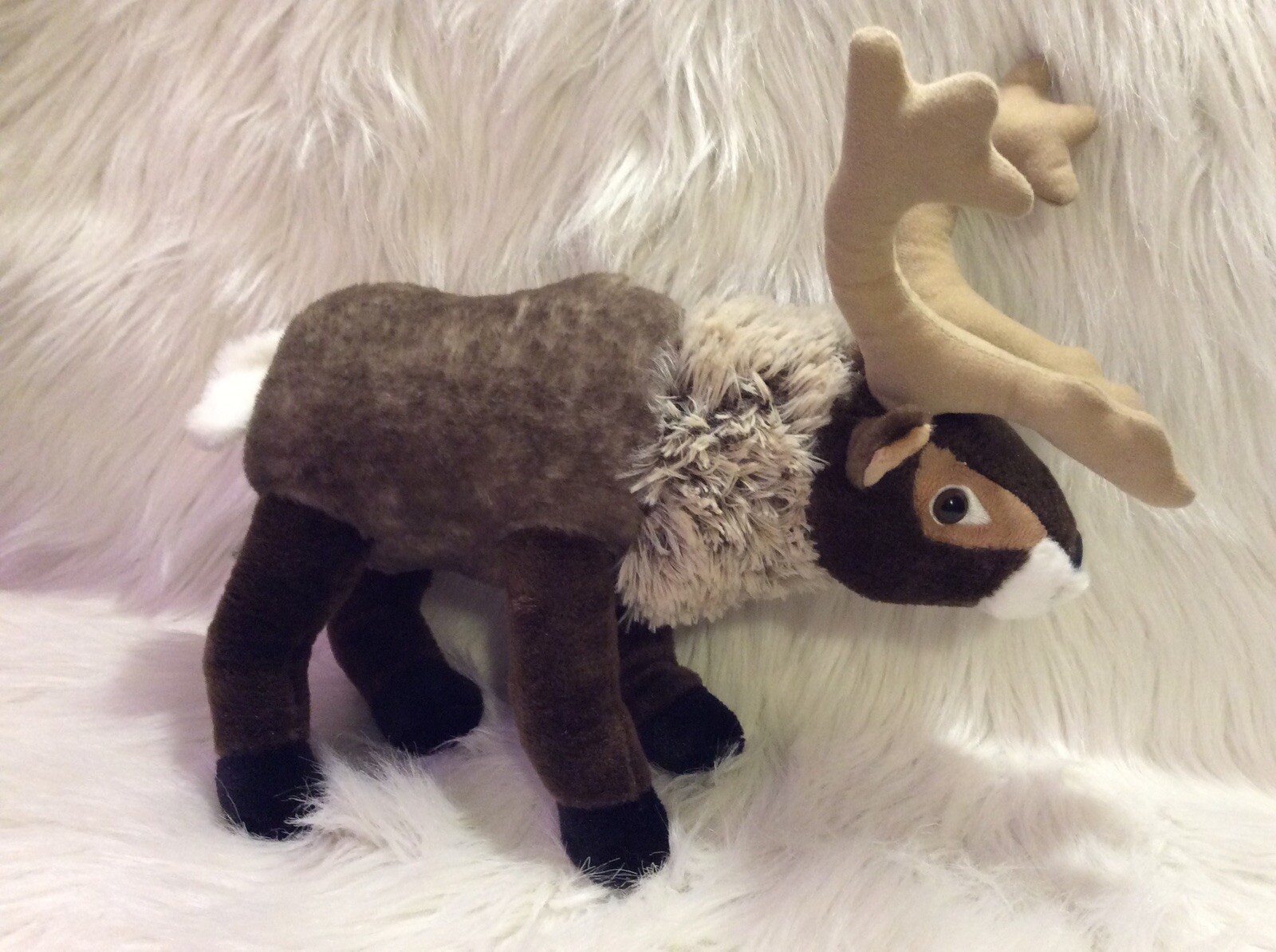 Reindeer The Petting Zoo 13\