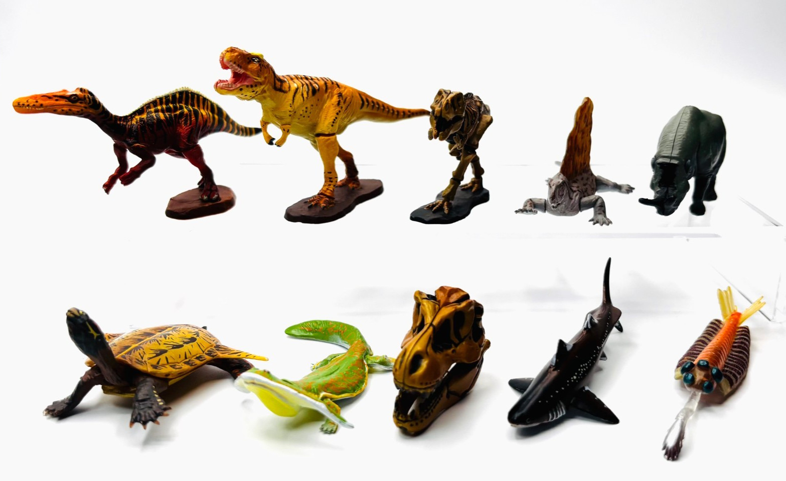 Kaiyodo Chocolasaurus Dinotales Figures Lot 10 w/ Cards T-Rex Skeleton Opabinia