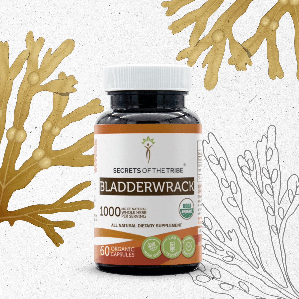 Secrets Of The Tribe Bladderwrack Capsules, 500 mg