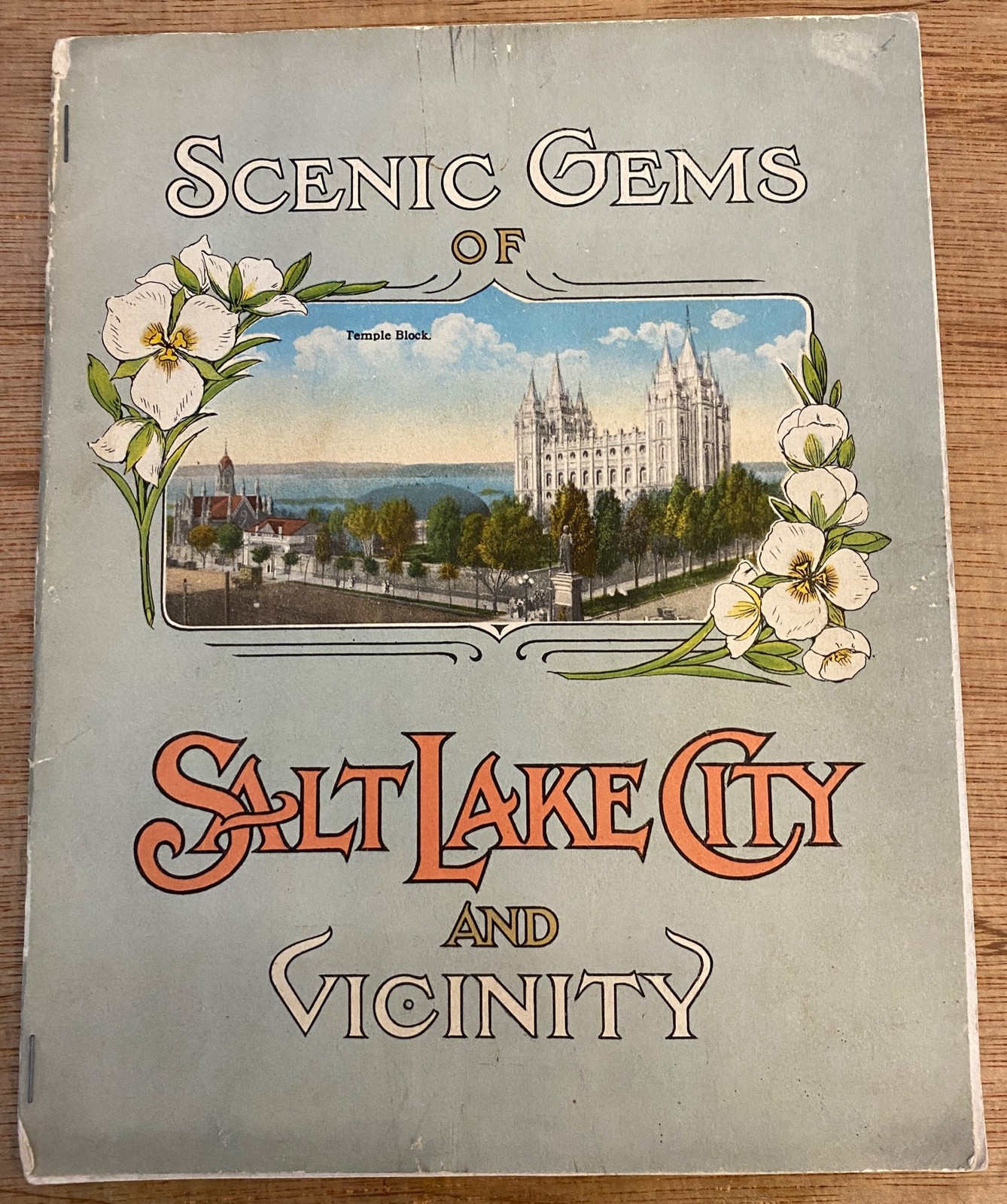 SCENIC GEMS OF SALT LAKE CITY AND VICINITY  Souvenir Novelty Color Photogravure