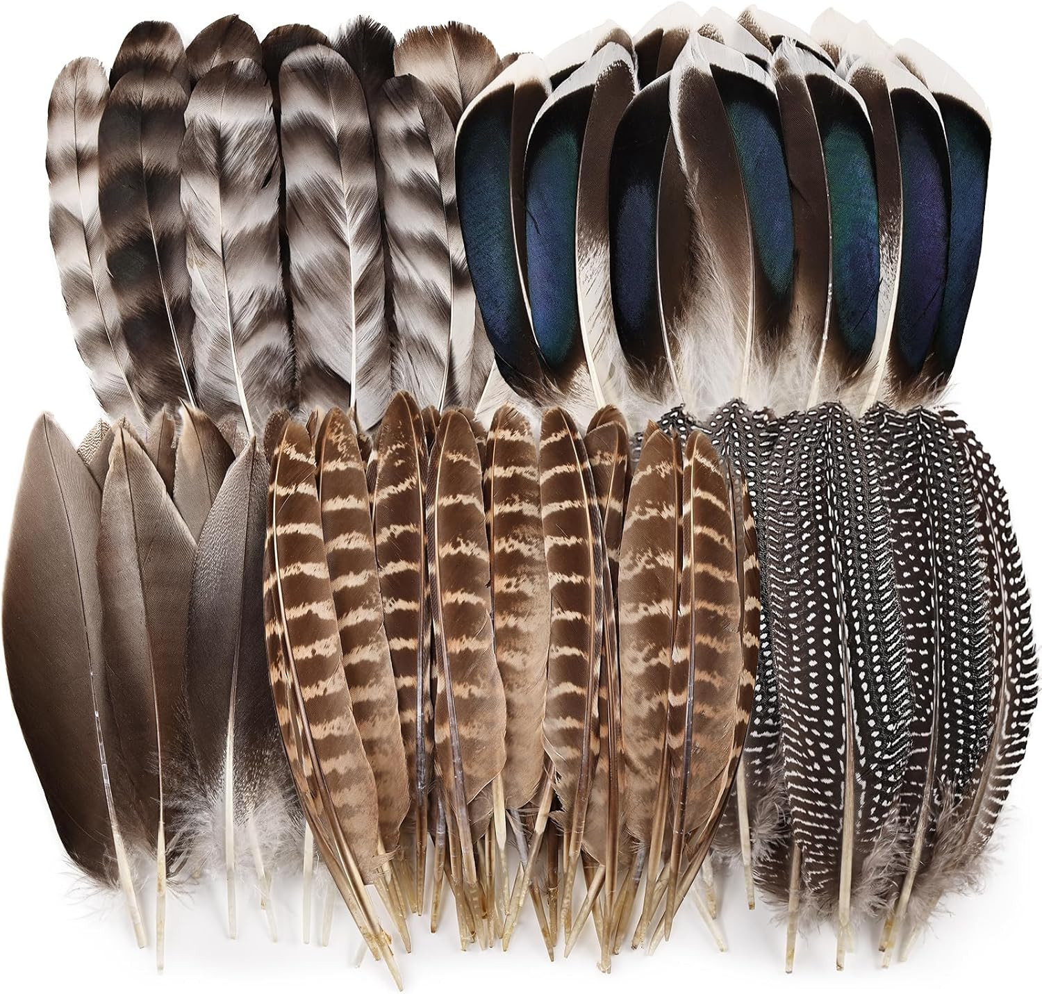 40 Pcs Natural Pheasant Feathers Bulk Spotted Feathers 5 Styles Mixed Feathers