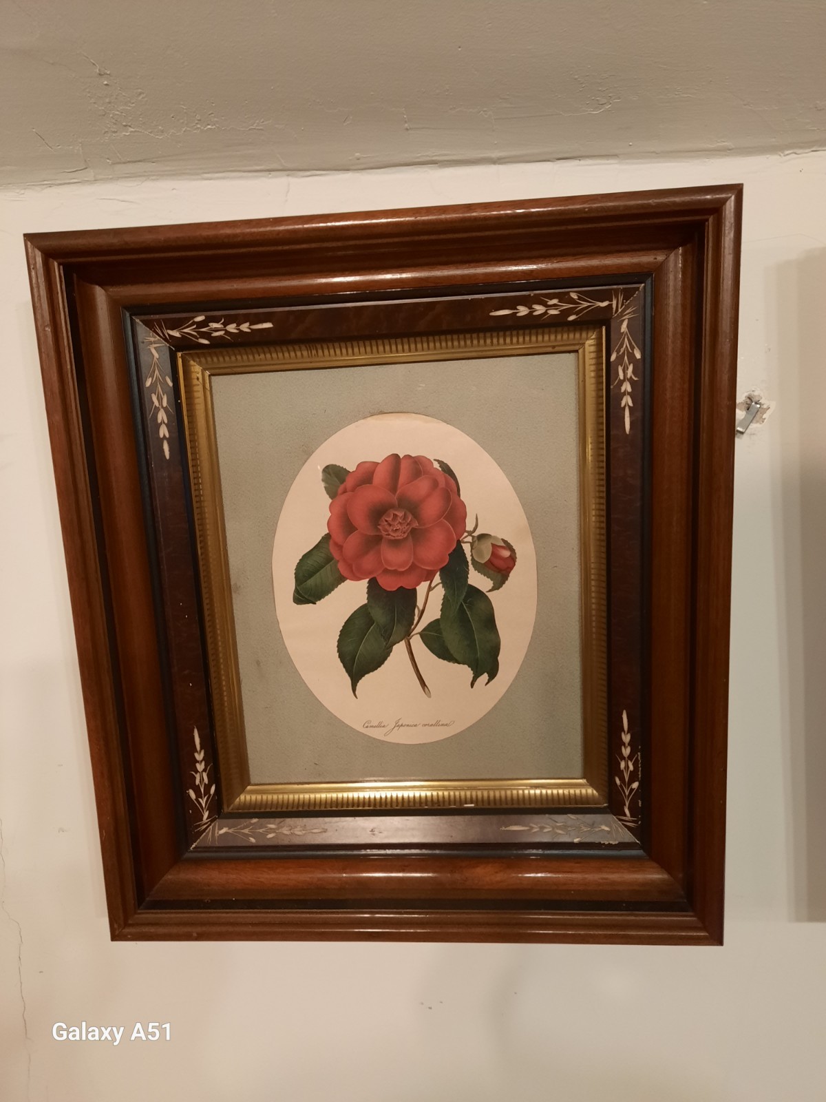 Exquiste Pair of Period Victorian Floral Lithographs