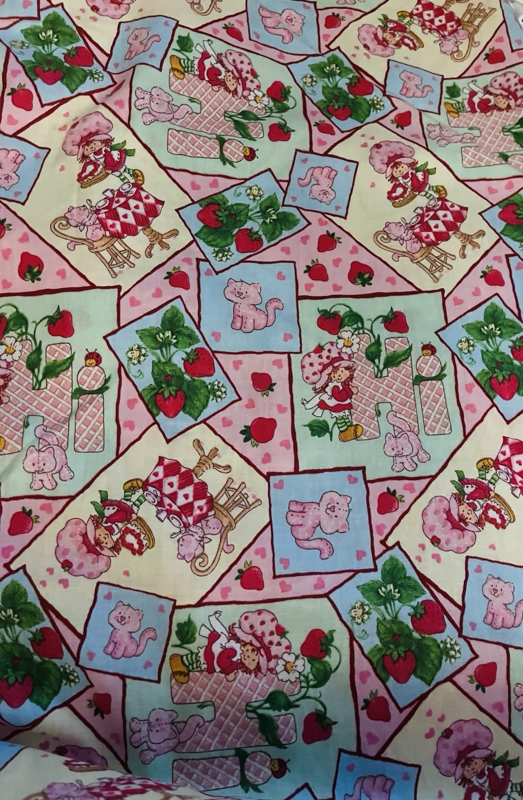 VTG 2003 Strawberry Shortcake Toss Crazy Quilt Cheater by Spectrix  BTY