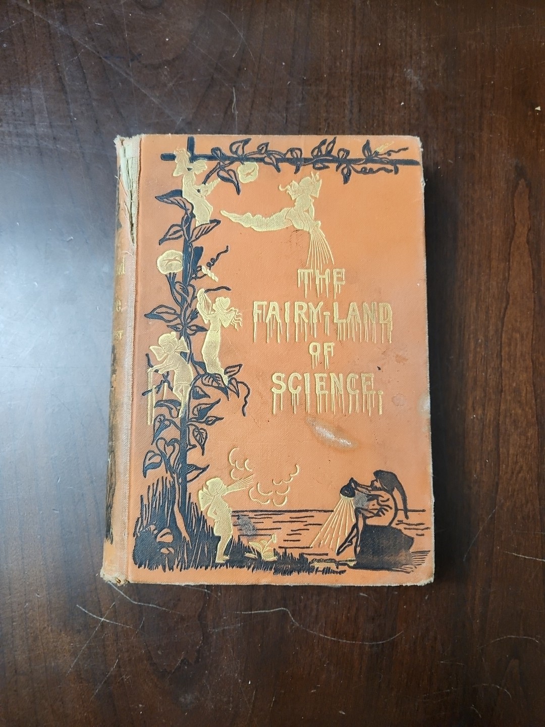 The Fairy Land of Science by Arabella Buckley 1899  Authorized Edition Hardback 