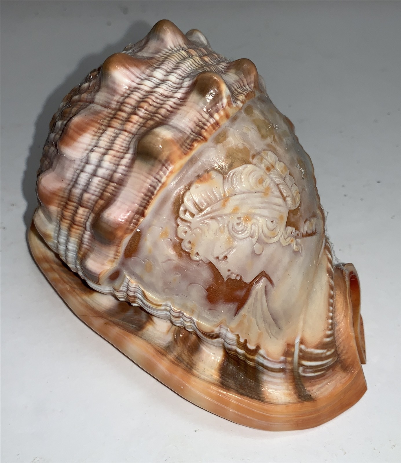 Vtg Hand Carved Carved Conch Shell Woman Italian 5 in Cameo Style Vtg Hand Carved Carved Conch Shell Woman Italian 5 in Cameo Style