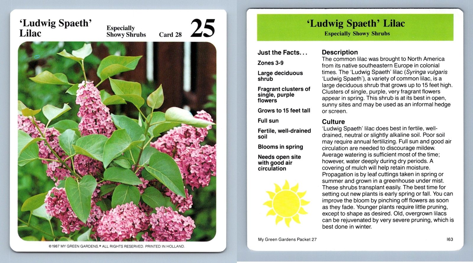 Ludwig Spaeth\' Lilac #28 Showy Shrubs - My Green Gardens 1987 Cardmark Card