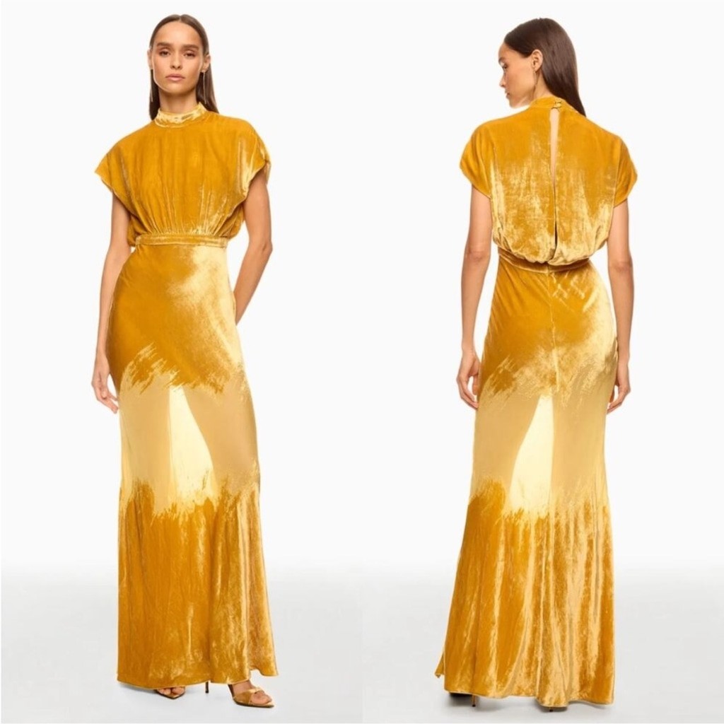 SALONI Fabienne Gown, Size: 4