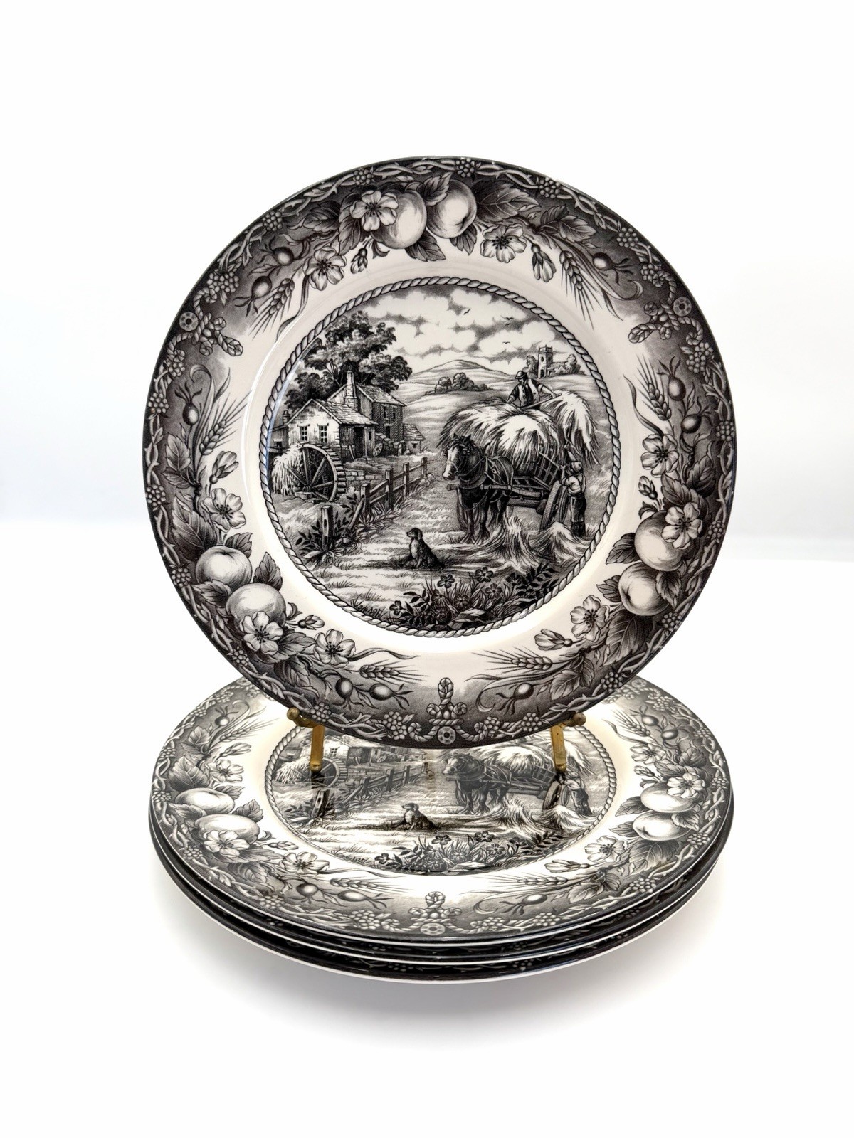 Royal Stafford Hayride Black - Dinner Plates 11”, Set of 4