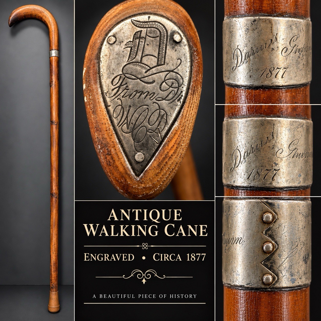 Antique 1877 Engraved Walking Cane Silver Tone Collar Monogram Presentation Antique 1877 Engraved Walking Cane Silver Tone Collar Monogram Presentation