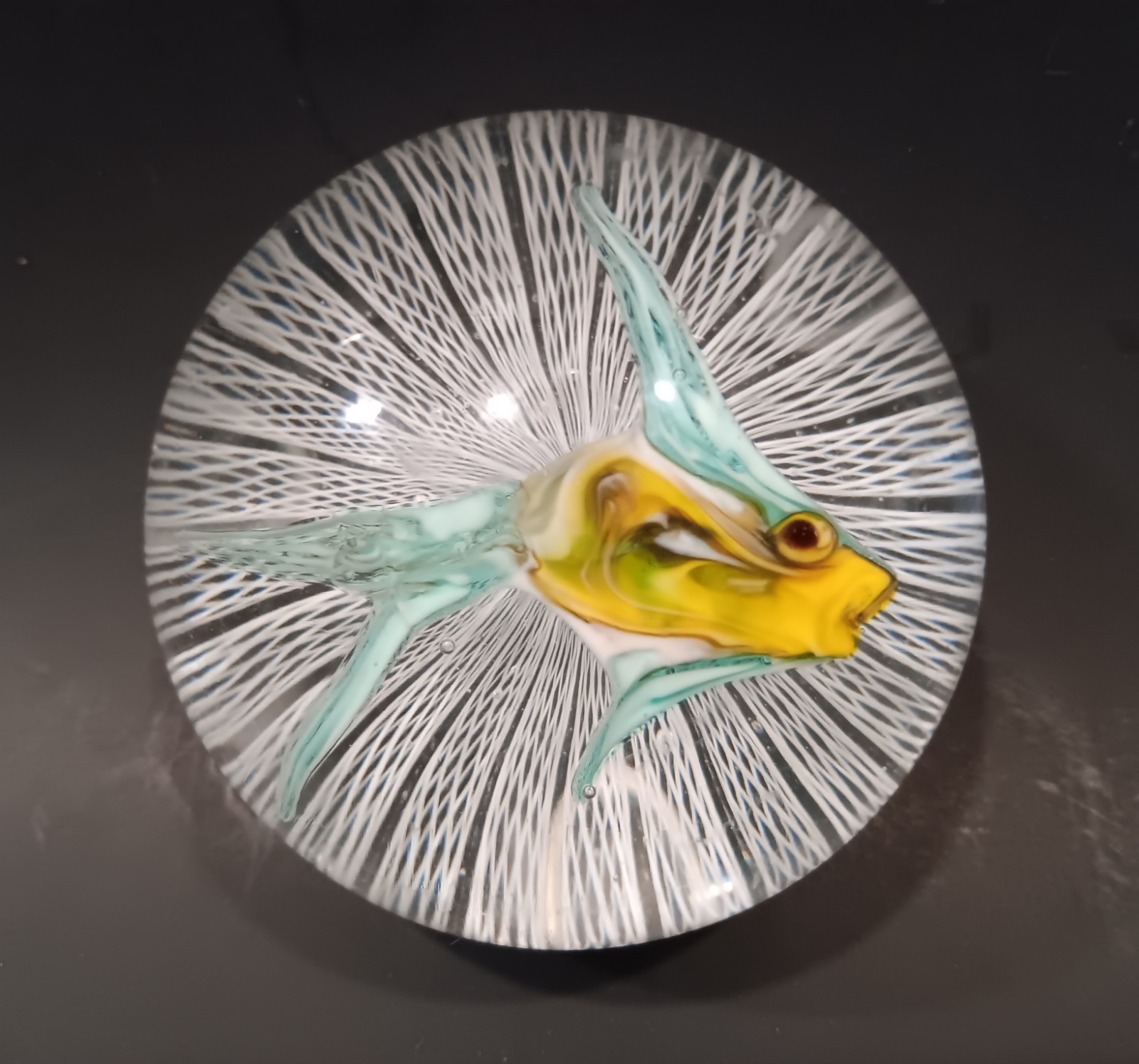 Alfredo Barbini Murano Art Glass Fish Aquarium Latticino Paperweight.
