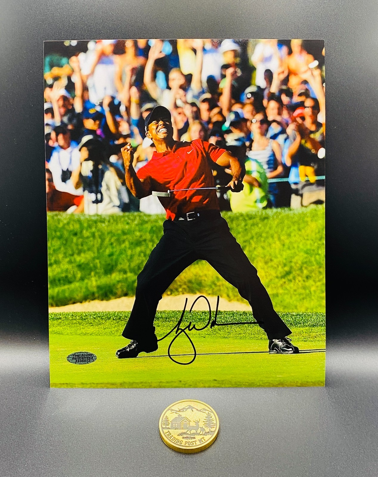 Tiger Woods Signed 8x10 Photo With COA (3235412) (Golf)