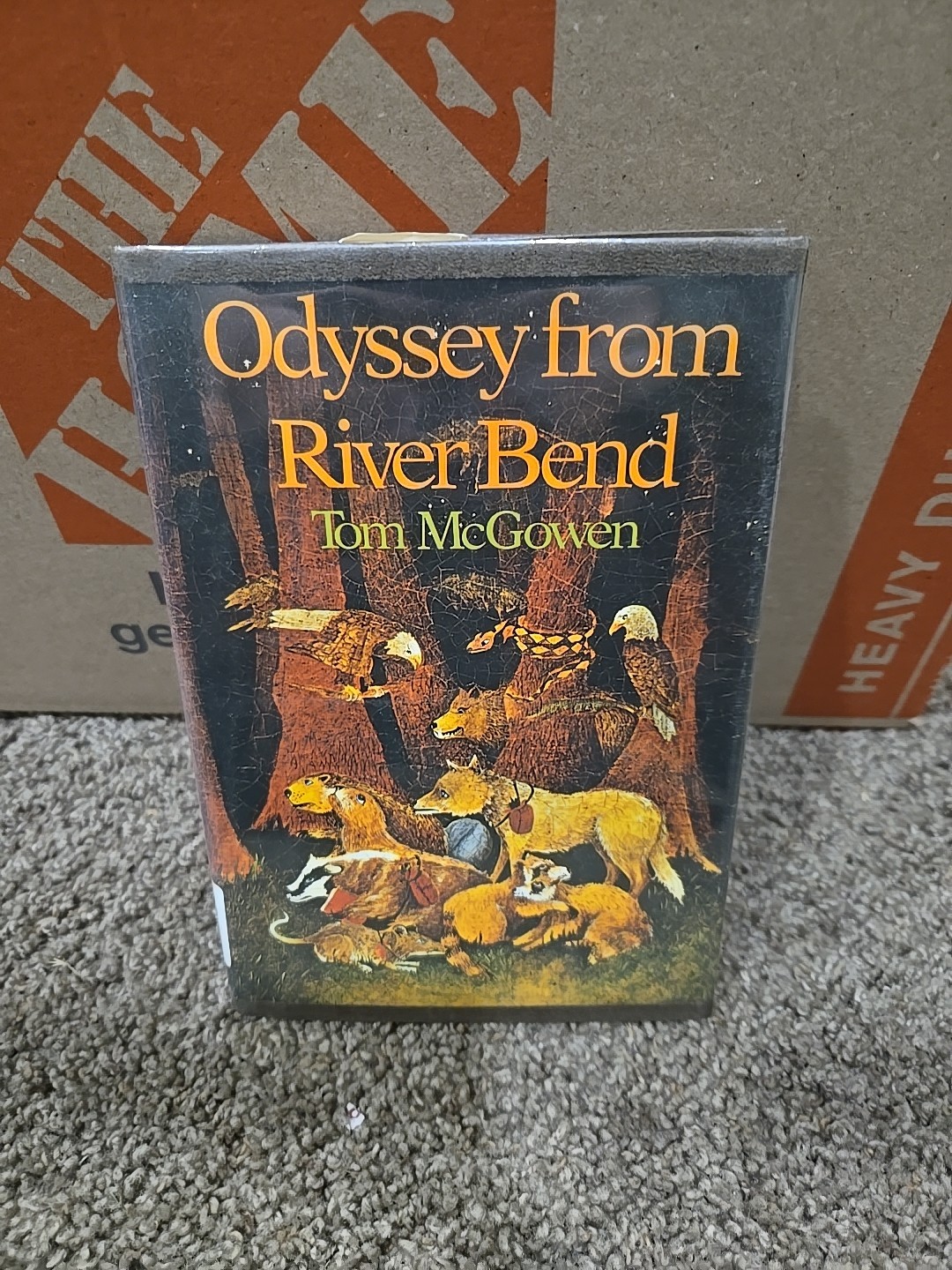 Vintage Odyssey from River Bend Hardcover Children’s Book – Tom McGowen 1975 Vintage Odyssey from River Bend Hardcover Children’s Book – Tom McGowen 1975