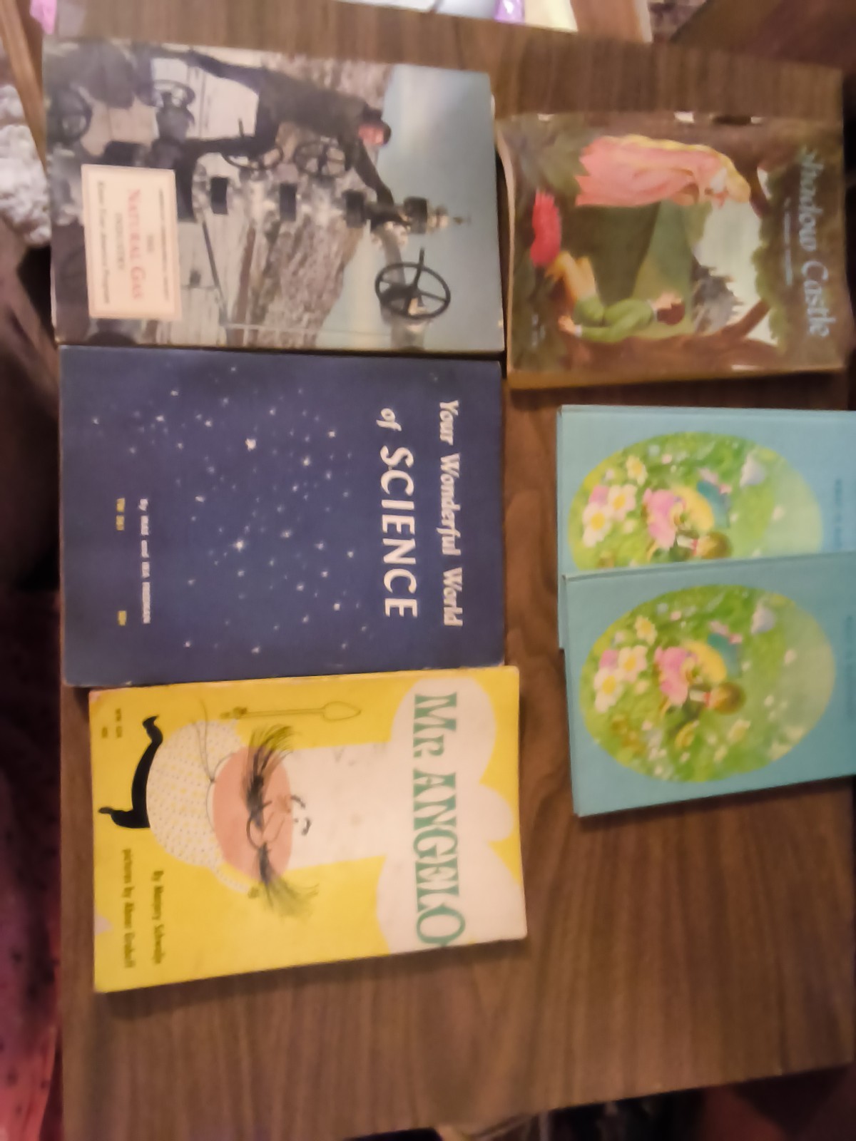 6 Vintage Children’s Book Lot-50's/70s 4 Paper 2 Dup Hard Copy 2 Educational.