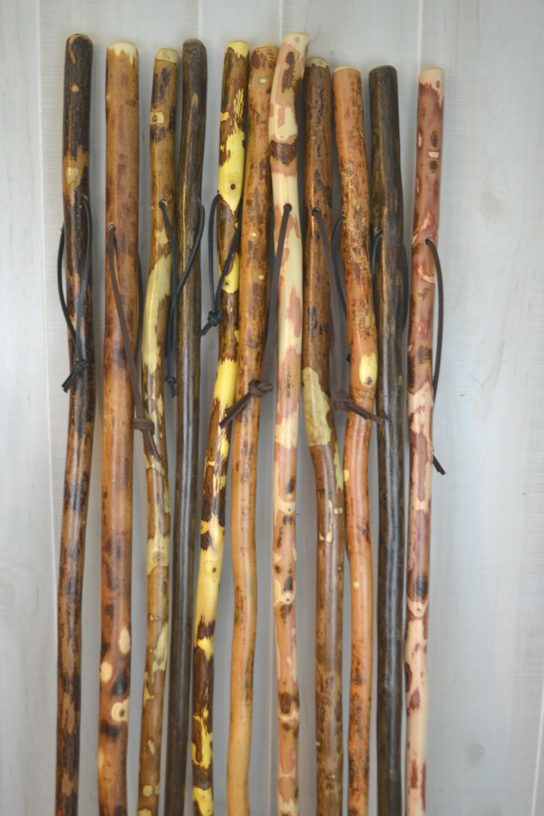 Tall Walking Sticks 48\