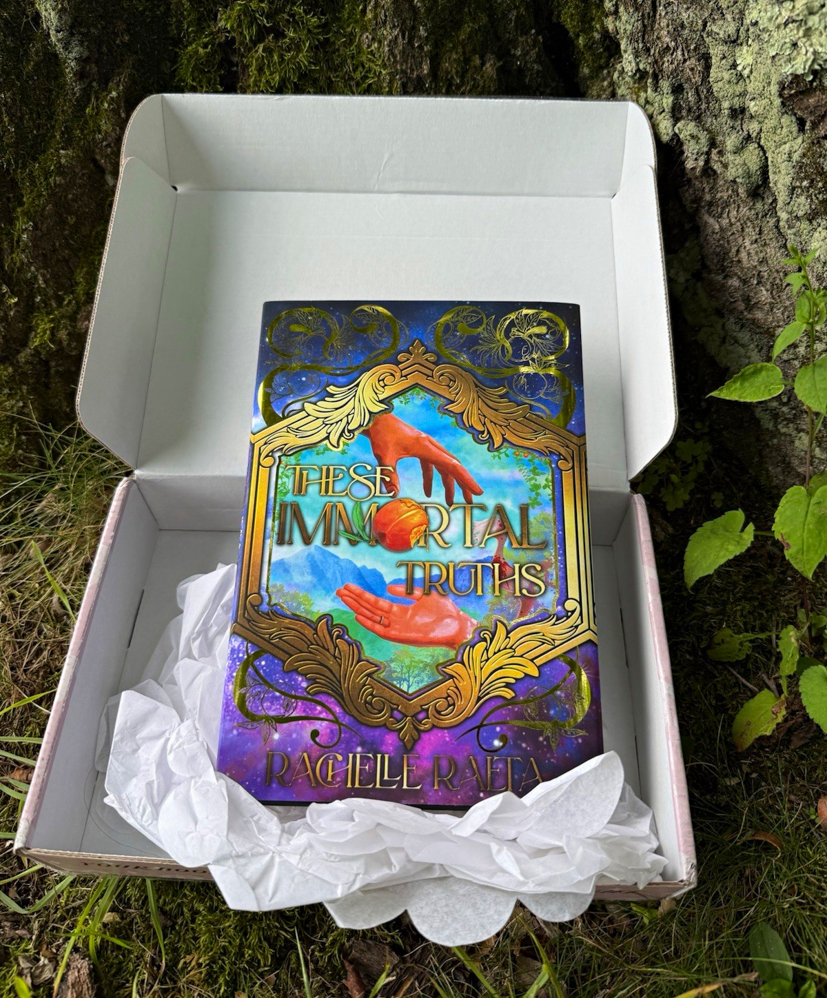Acrylipics 3D edges These Immortal Truths