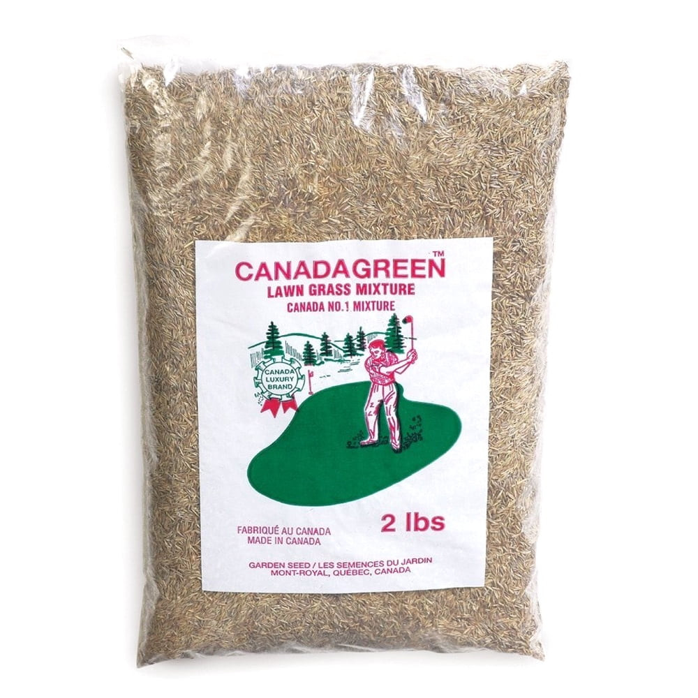 4 lbs Canada Green Premium Grass Seed NEW