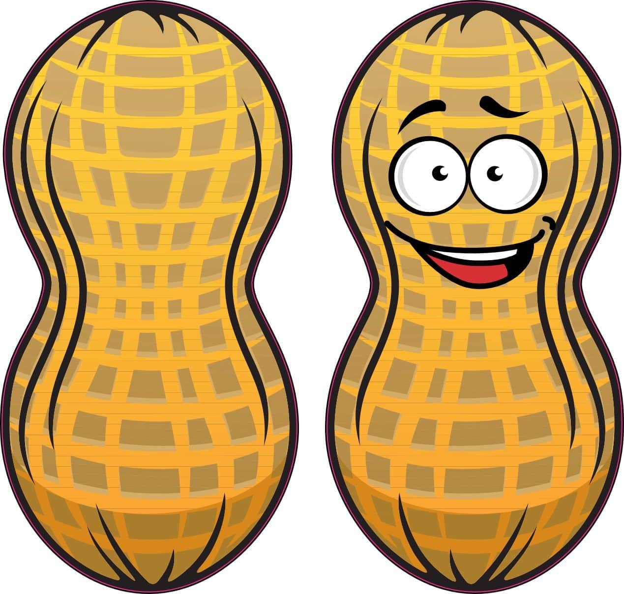 StickerTalk Cartoon Peanut Vinyl Stickers, 2x4 inches each