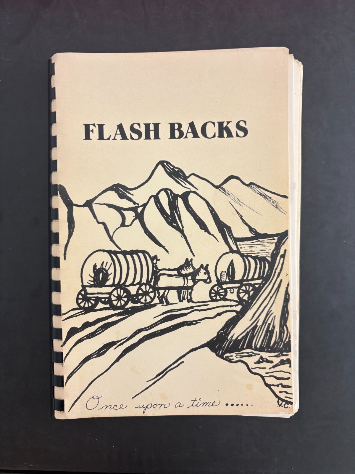 L1 RARE Vintage 1980 Flashbacks Stories from the Past by LOS ALTOS CA Residents