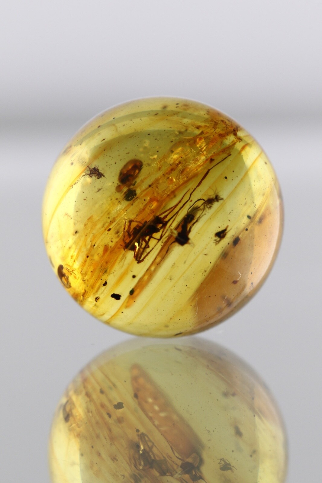 Fossil SPIDER & ANT Round SPHERE Genuine BALTIC AMBER Bead 15.1mm 2g 250619-6