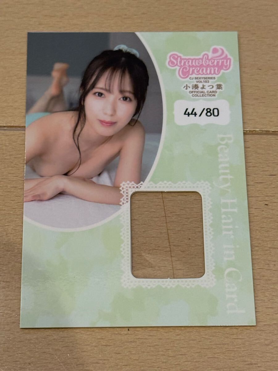 Yotsuha Kominato Jyutoku Card Collection CJ103 Beauty Hair Card Japan AV Idol