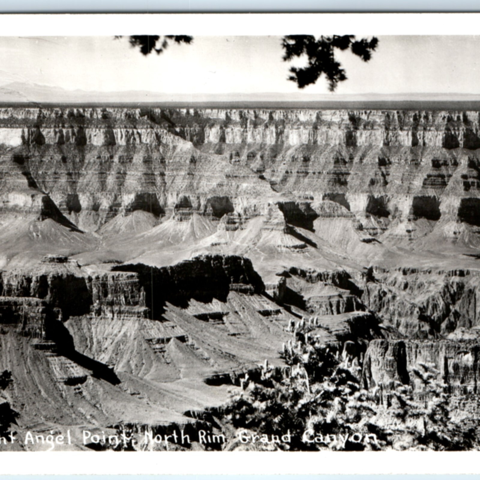 c1940s Grand Canyon, AZ Bright Angel Point RPPC North Rim Real Photo Postcard