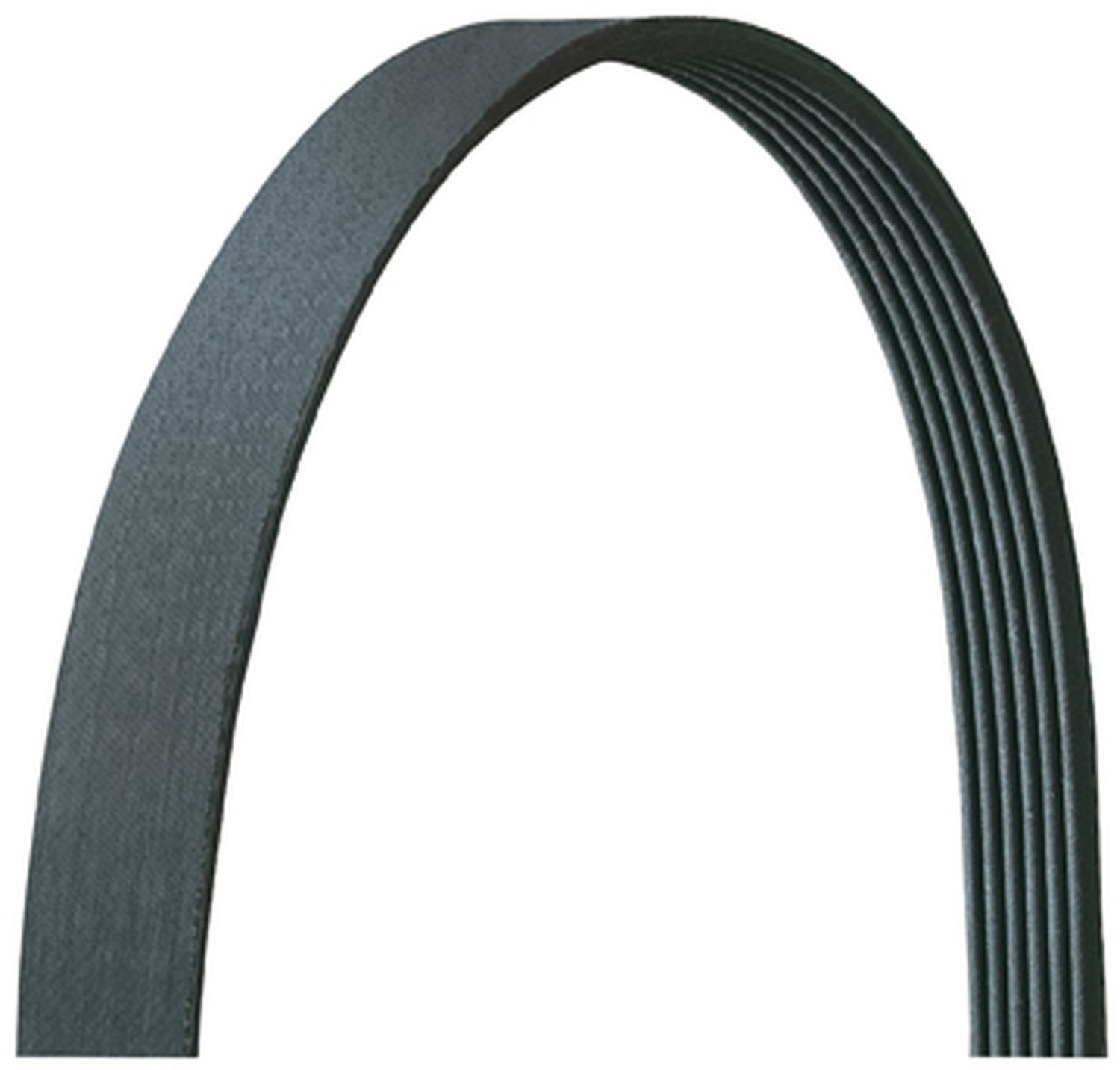 Dayco 5060955DR Serpentine Belt V-Ribbed