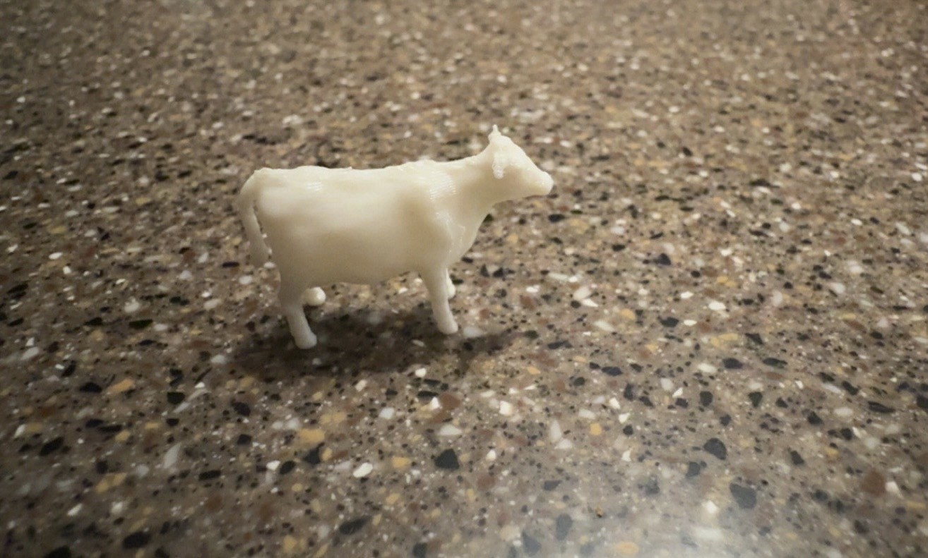 1/64th Calves, 20hd White 1/64th Calves, 20hd White