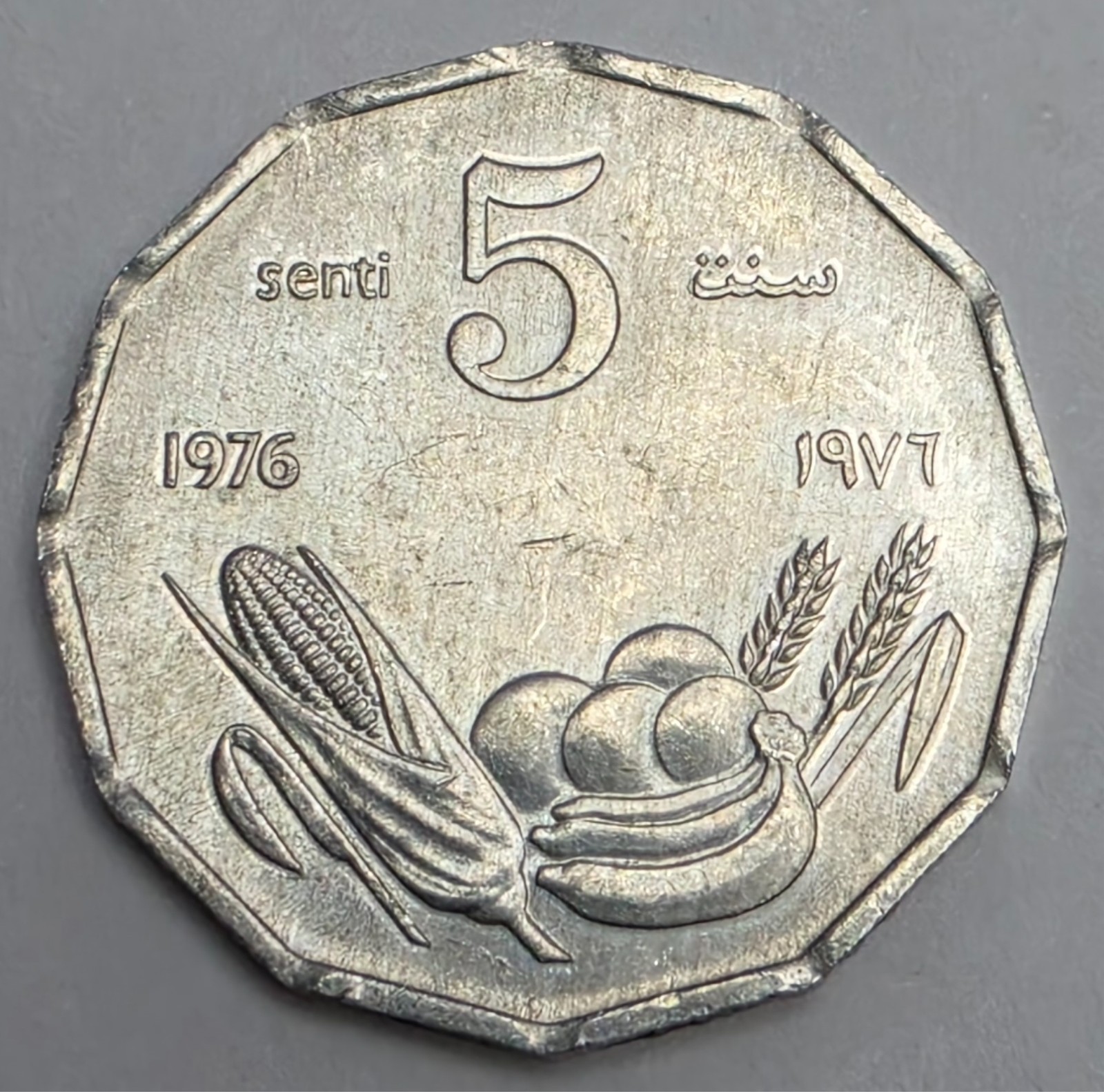 1976 Somalia 5 Five Senti - Somalian Aluminum Commemorative World Coin - FAO