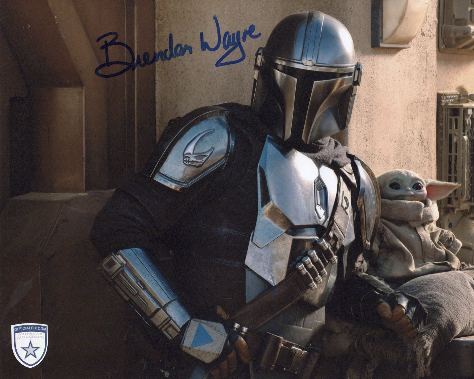 Signed Brendan Wayne Star Wars: The Mandalorian 8x10 w/ Official Pix COA