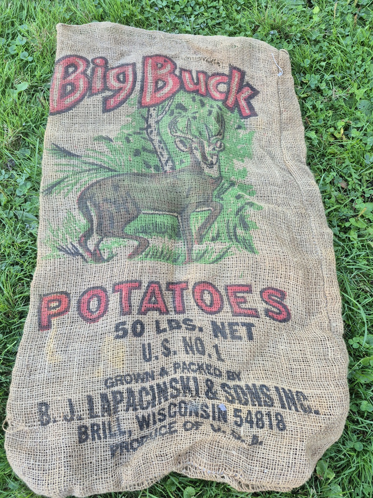 VINTAGE BIG BUCK POTATO SACK BRILL,WISCONSIN 50 LBS SACK VINTAGE BIG BUCK POTATO SACK BRILL,WISCONSIN 50 LBS SACK