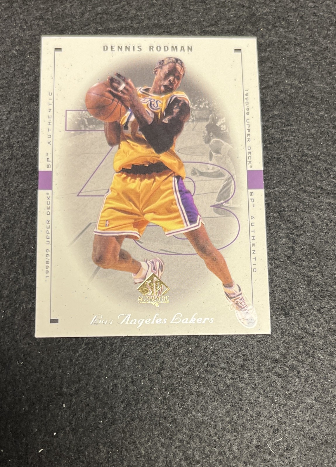 1998-99 SP Authentic - Dennis Rodman #45