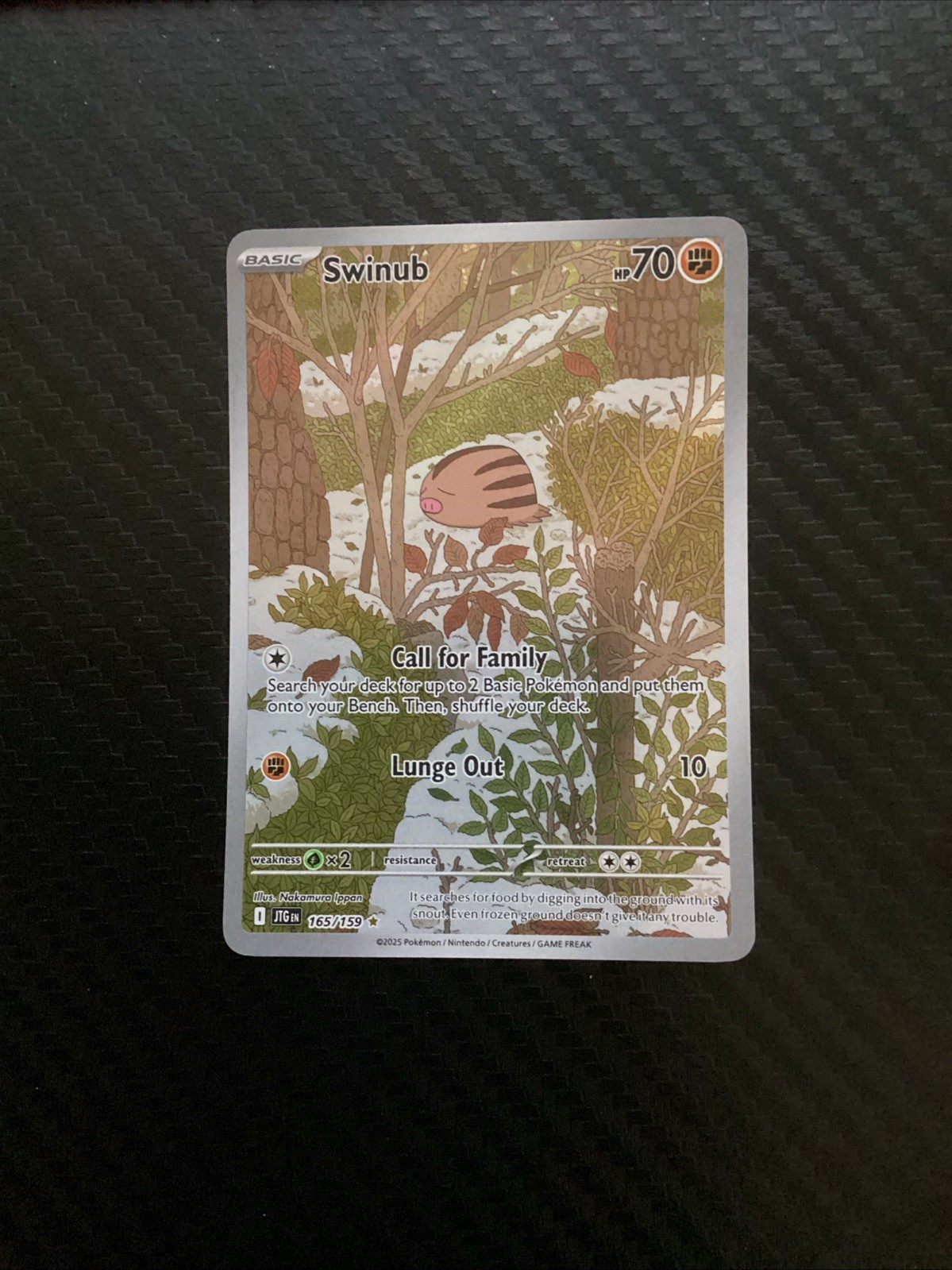 Swinub 165/159 Illustration Rare Journey Together English Pokémon TCG NM