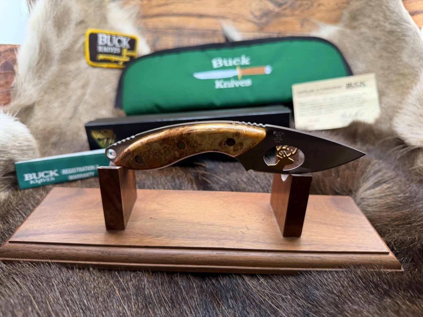 Buck Mini Alpha Knife Burlwood Handles Gold Battling Bucks - SN0032   Mint Box A