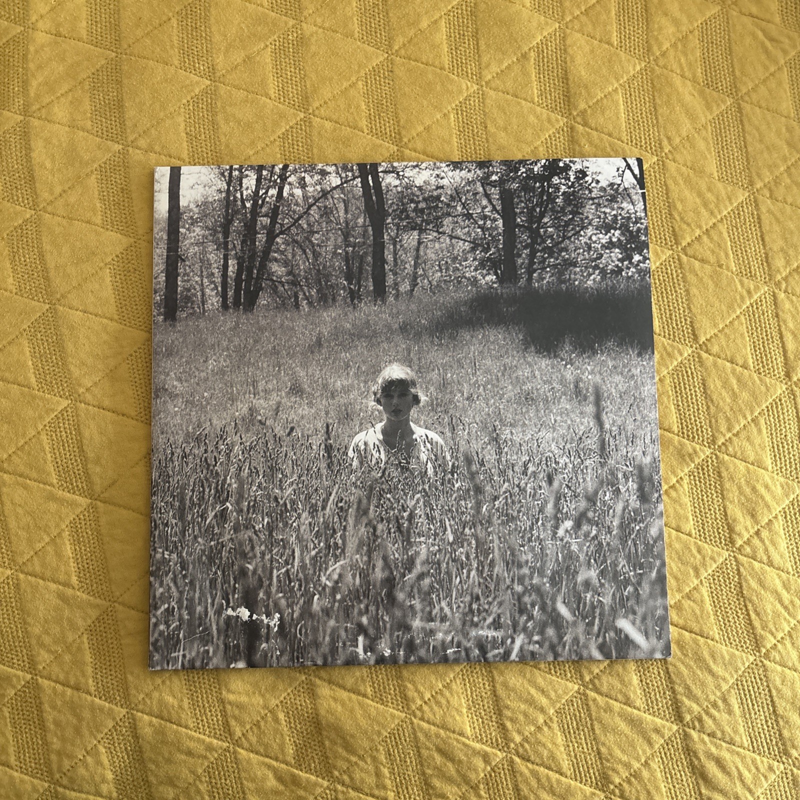 Taylor Swift Folklore \ Taylor Swift Folklore \