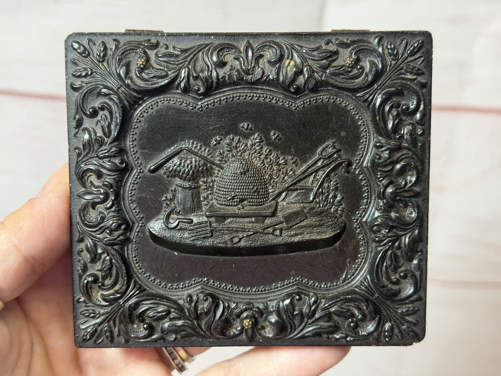 Antique Late 1800's Ambrotype Couple Photo Union Case Garden Tools Farming Motif