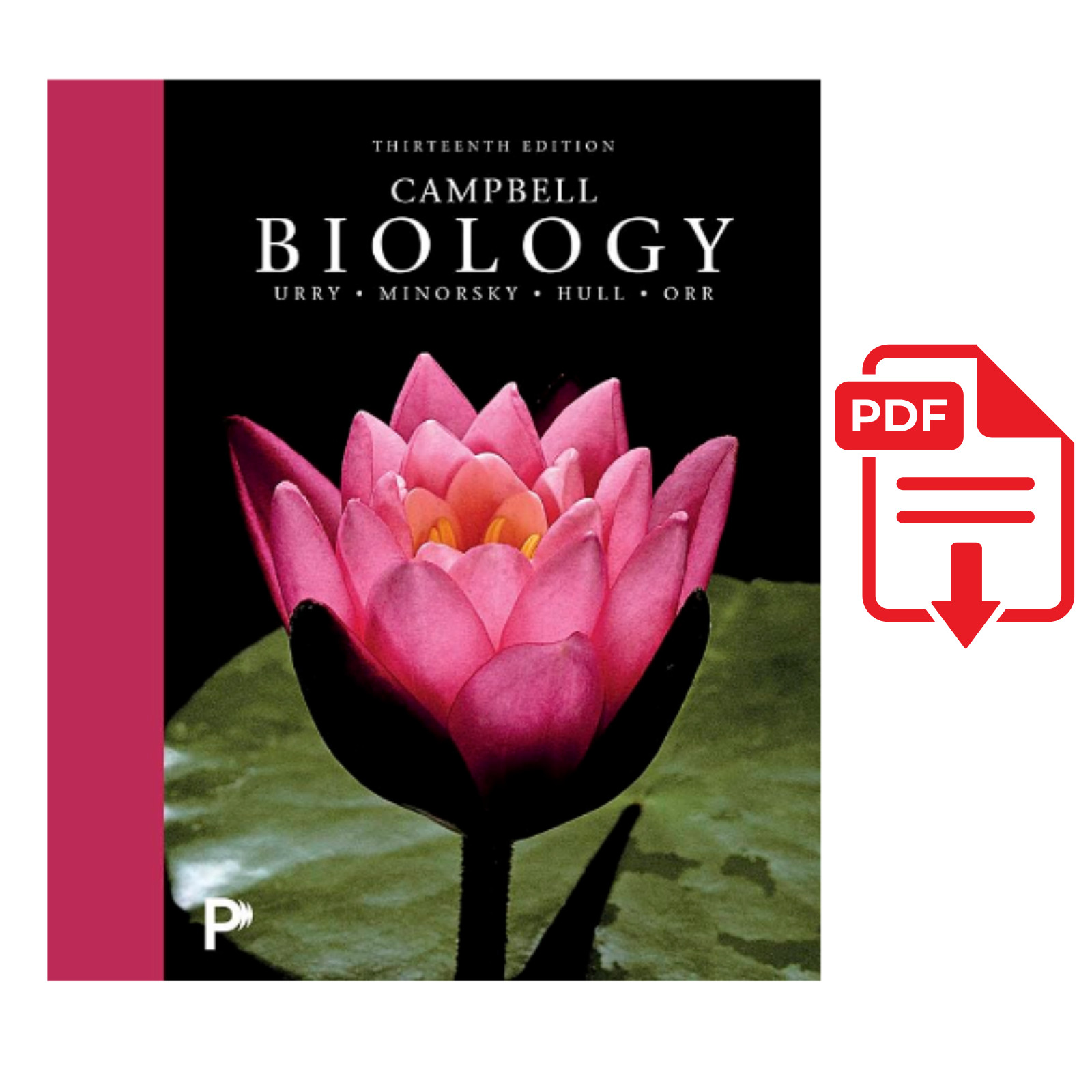 Campbell Biology 13th edition Campbell Biology 13th edition