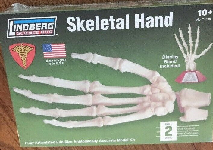 SKELETAL HAND SKELETON LINDBERG SCIENCE MODEL KIT UNOPEN FACTORY SEALED MINT SKELETAL HAND SKELETON LINDBERG SCIENCE MODEL KIT UNOPEN FACTORY SEALED MINT