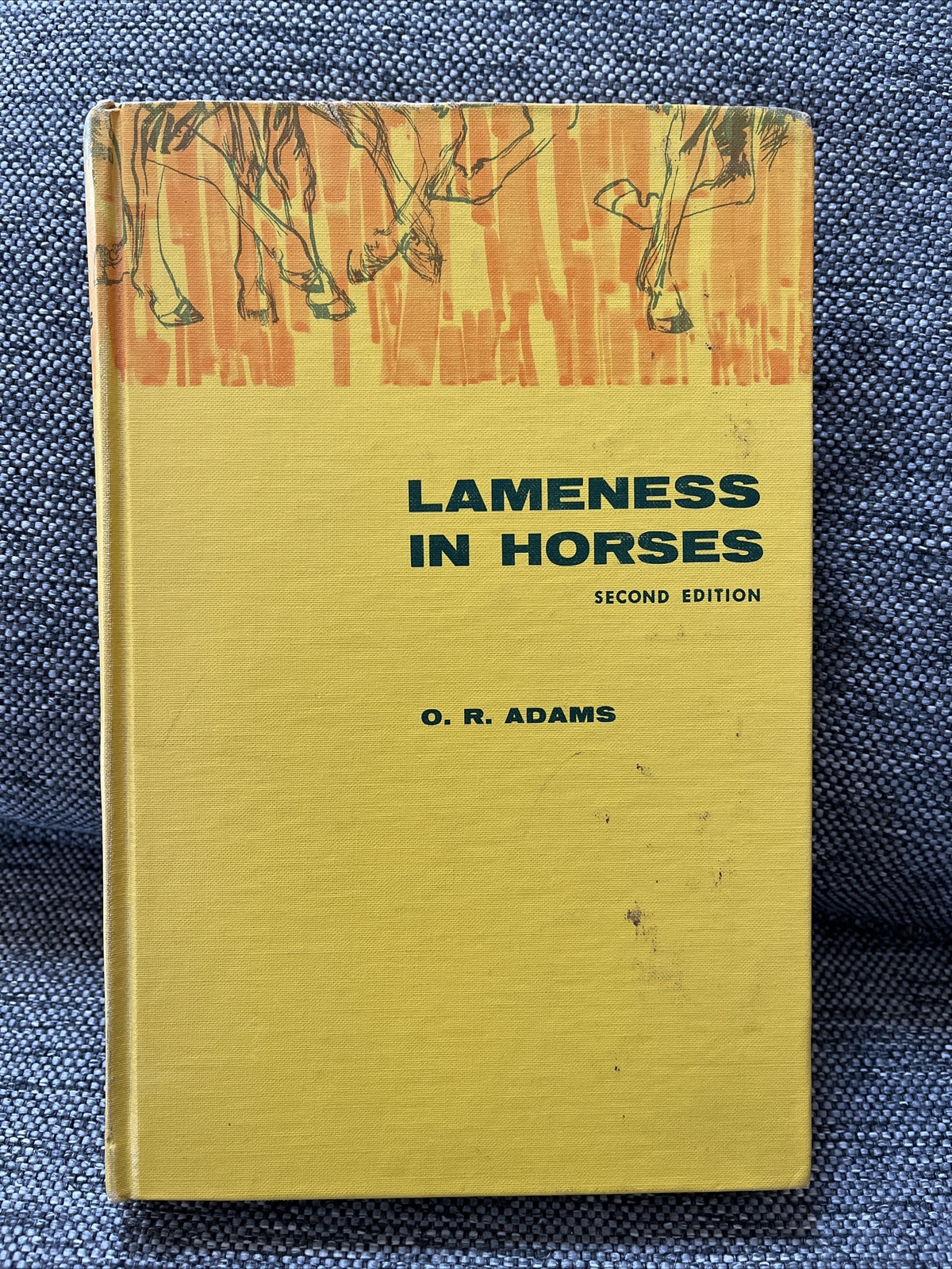 Lameness in Horses - Hardcover By Adams, O.R. Lameness in Horses - Hardcover By Adams, O.R.