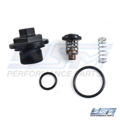 WSM THERMOSTAT KIT JOHNSON EVINRUDE 200 - 300 HP E-TEC / FFI 780-170