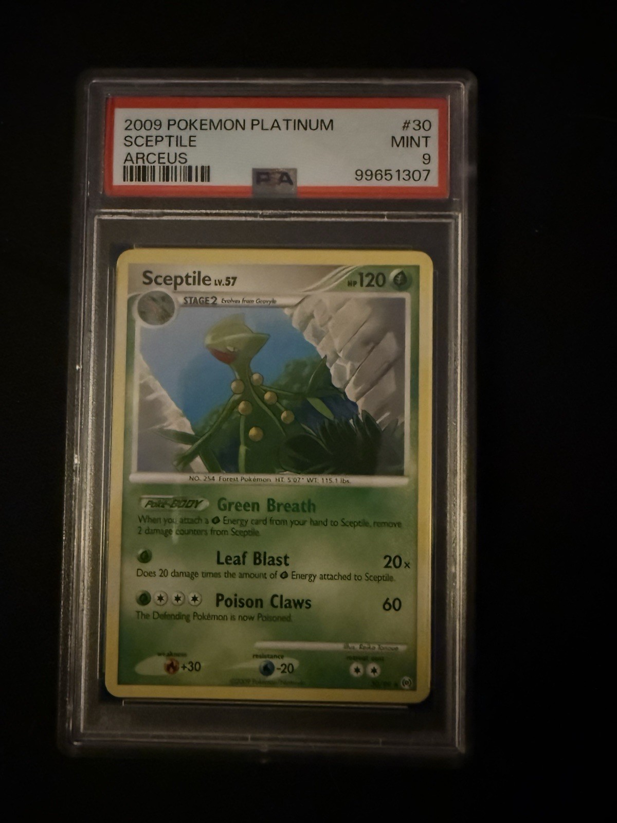2009 Pokemon Platinum Arceus NonHolo PSA9 Sceptile