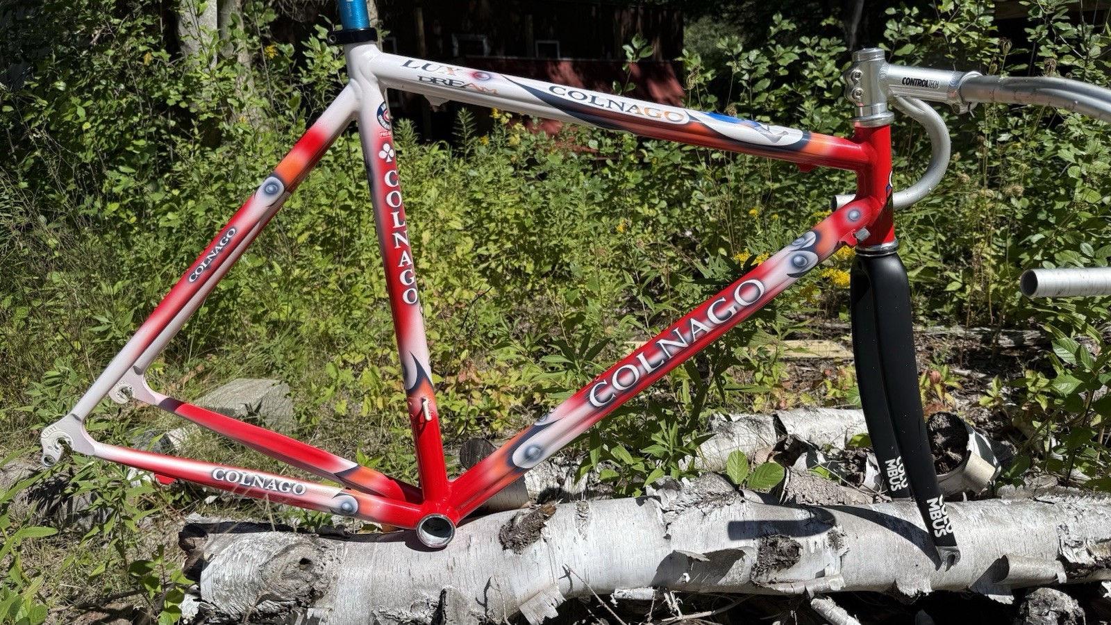 Colnago Lux Dream 55cm Campagnolo Headset  Colnago Flash Fork Columbus Fork