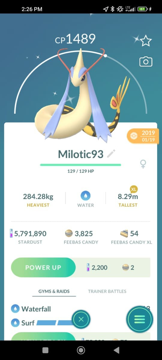 Pokemon Milotic Shiny 2019 lucky guaranteed