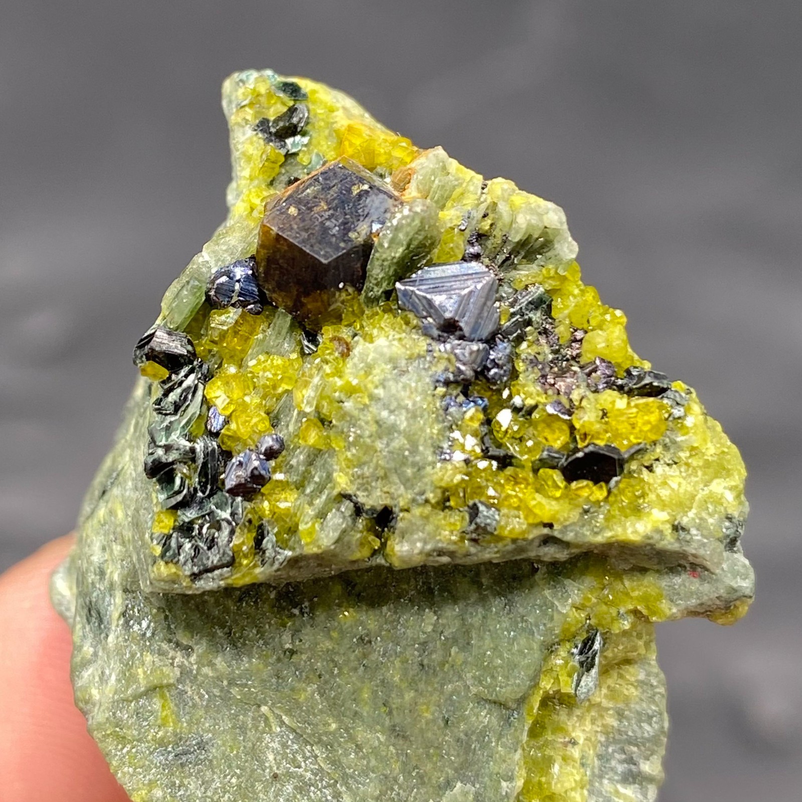 Unique Very Rare Piece Natural MAGNETITE With Andradite Garnet DIOPSIDE