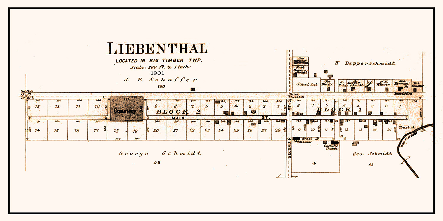 1901 Town Map of Lienenthal Rush County Kansas