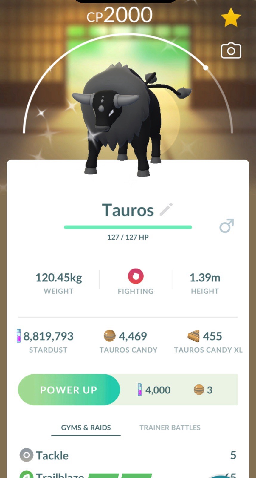 Pokemon✨Shiny Paldean Combat Tauros✨TRA-DE✨Go Fest Denmark 2026✨ Pokemon✨Shiny Paldean Combat Tauros✨TRA-DE✨Go Fest Denmark 2026✨