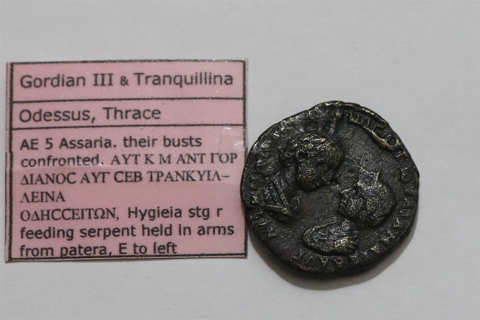 🧭 🇮🇹 GORDIAN III & TRANQUILLINA ODESSUS THRACE c. 242 ASSARIA 10.00Gr. B73 #K