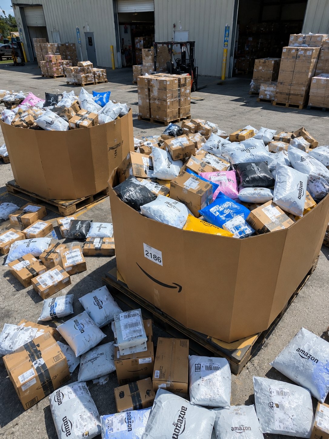 walmart shelf pulls assorted consumer electronics & retail finds liquidation lot