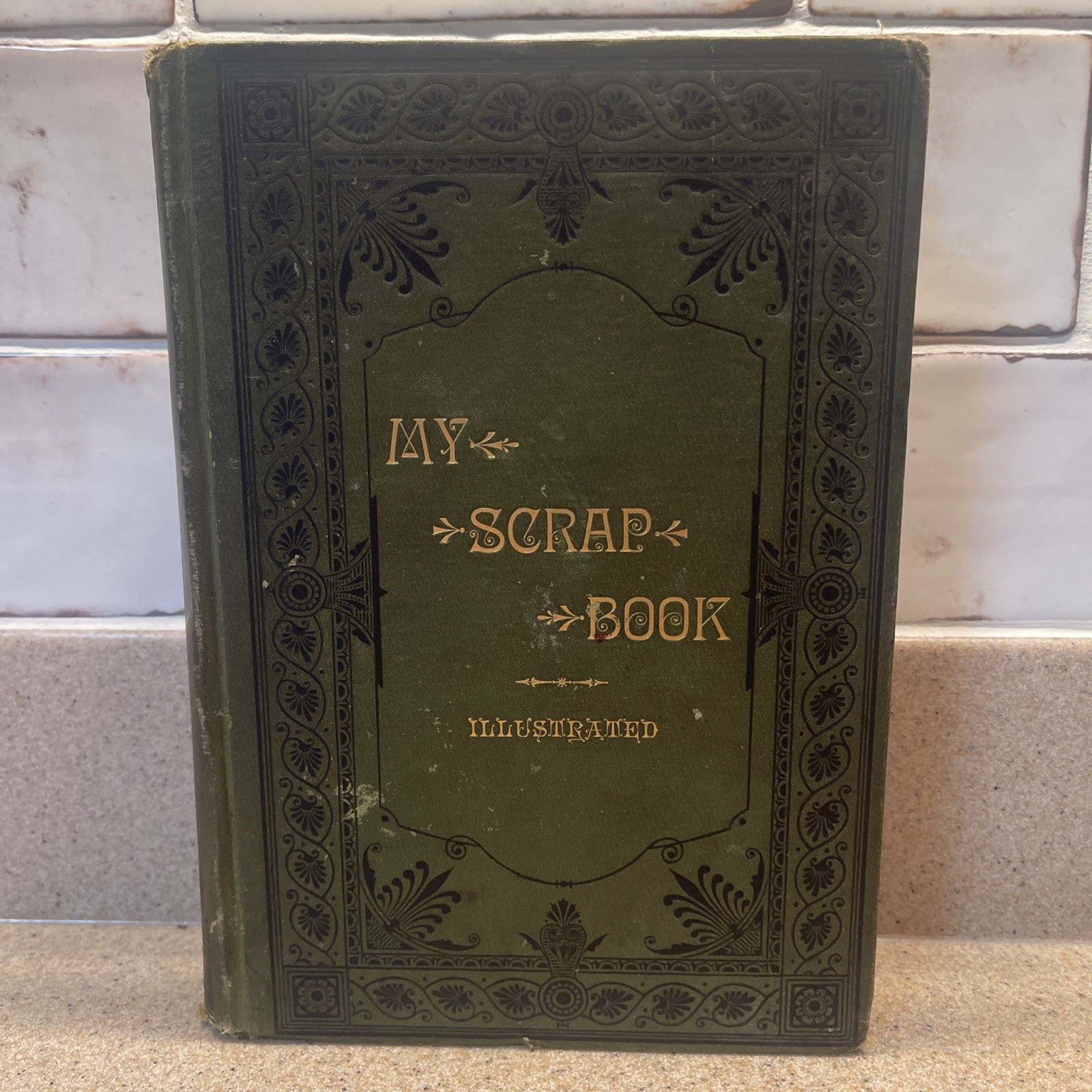 My Scrap Book Illustrated Mrs Ann E. Snyder 1887 Southern Methodist Hardcover
