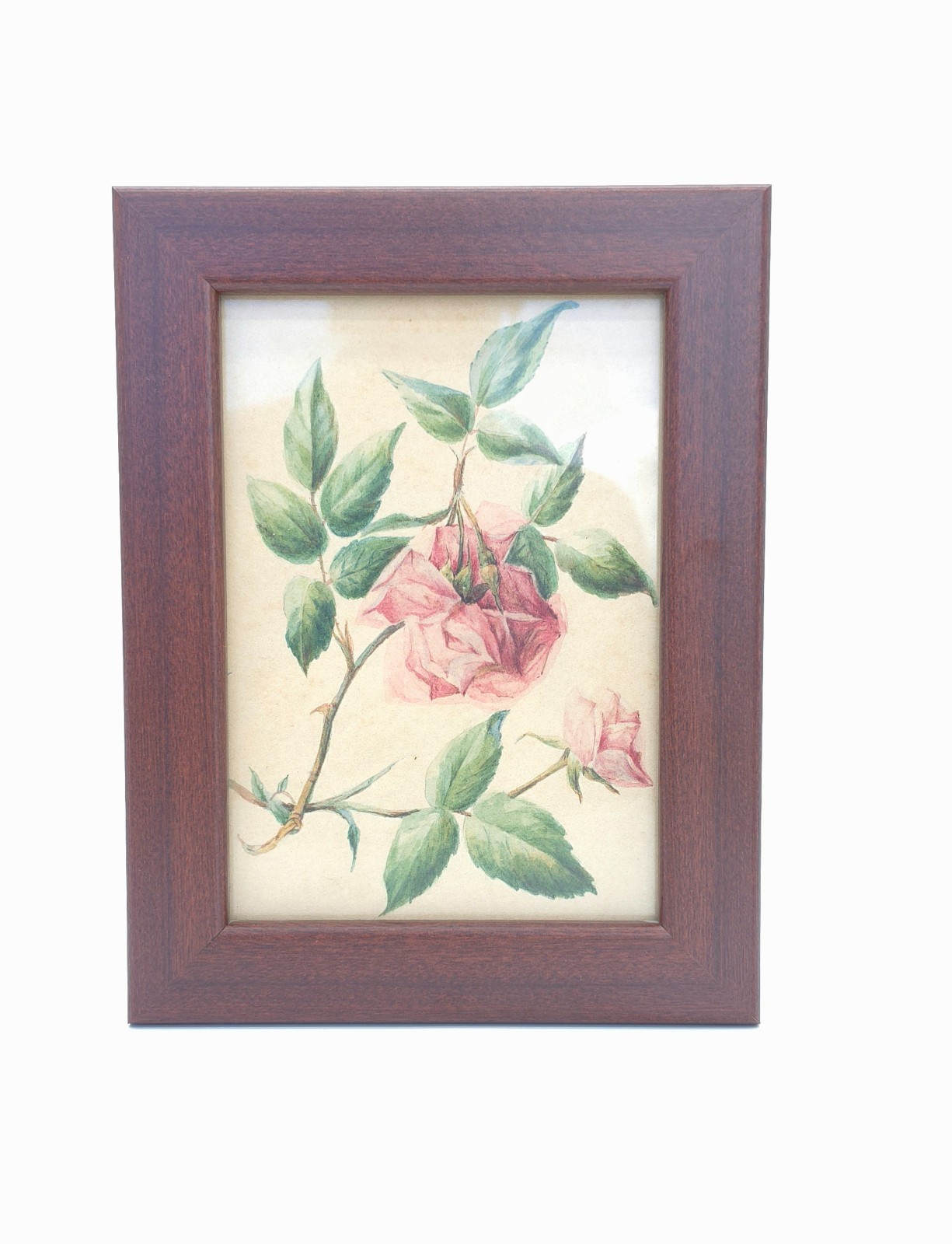 Antique 1898 Original Watercolor Pink Roses Floral Painting A.A. Way Framed