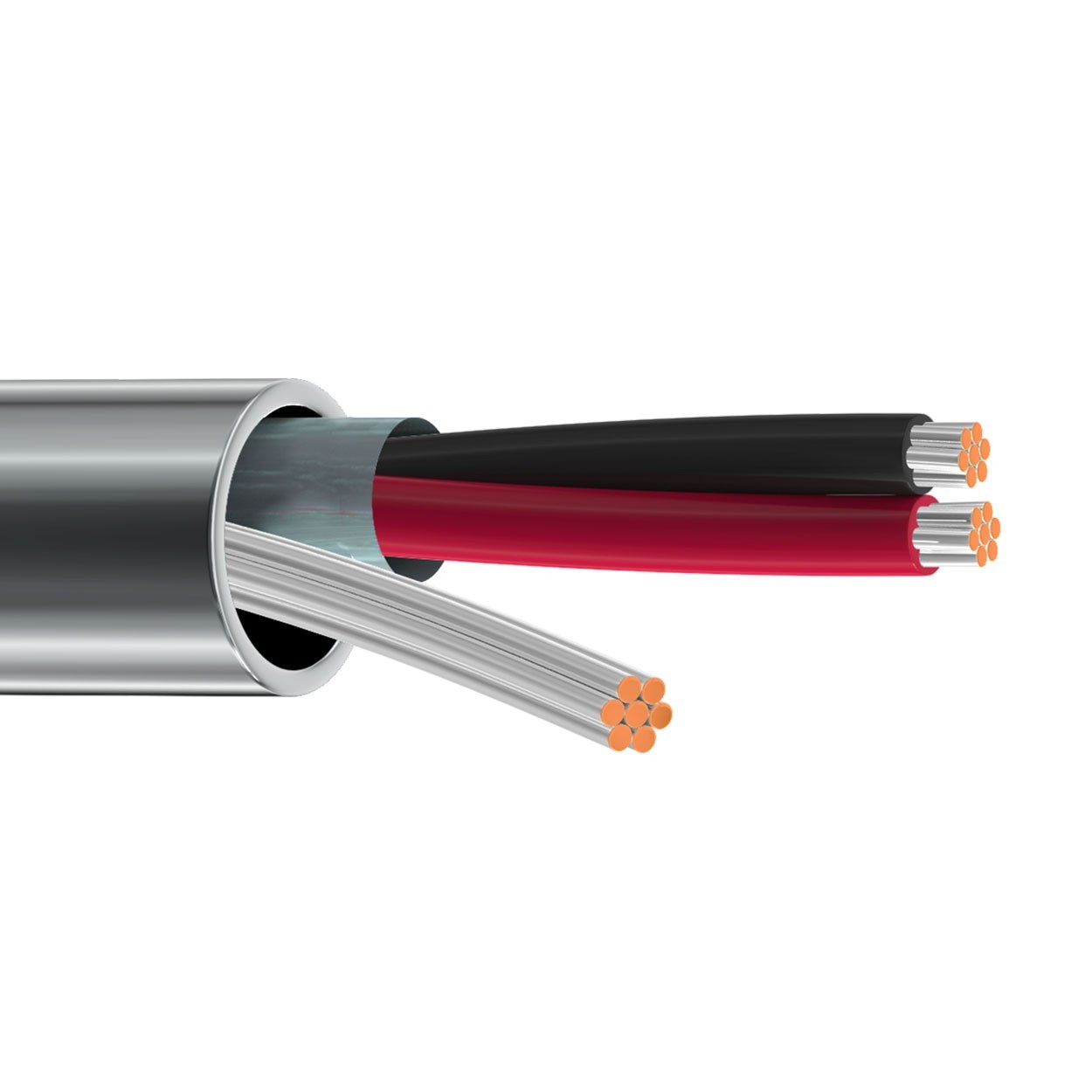 100\' Belden 9462 22 AWG 2 Conductor Overall Shielded Control Cable 300V
